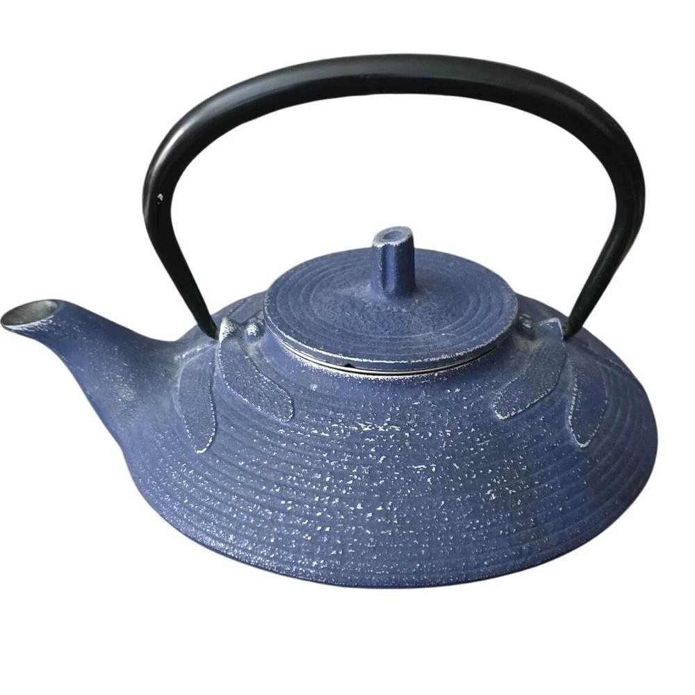Iwachu Japanese‎ Cast Iron Teapot Blue Dragonfly Tetsubin Made in Japan